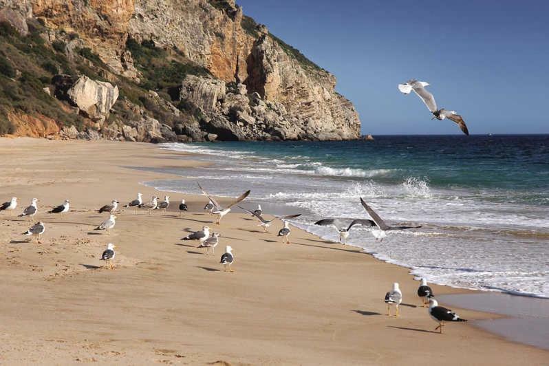 Refugio De Zimbra Appartement Sesimbra Buitenkant foto